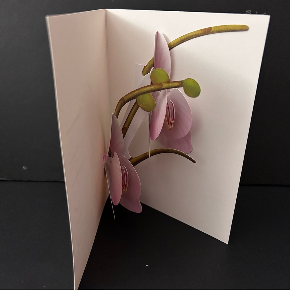 Pop-up card w/envelope - ORCHID